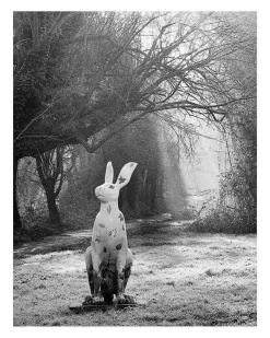 AFGA Isolette II 6X6 Medium Format Folding Film Camera With 75mm F3.5 Lens.