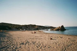 BRAND NEW-Minolta AF50 Big Finder 35mm Film Camera Point and Shoot