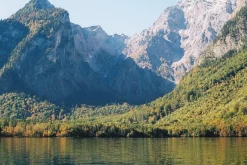 Canon AE-1 Program BLACK 35mm SLR Film Camera with Canon Prime Lens