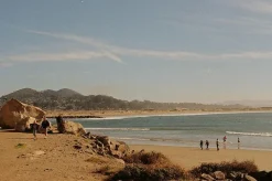 Canon AV 1 Black Vintage 35mm SLR Film Camera with Prime 50mm Lens