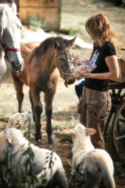 Canon EOS 300 35mm SLR Film Camera - Body Only