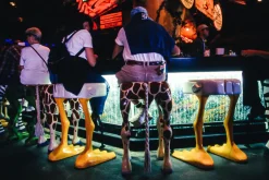 Canon EOS 700 35mm SLR Film Camera - Body Only