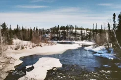 Canon FD 28mm f/2.8 Camera Lens