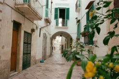 Canon FD 28mm f/2.8 Camera Lens