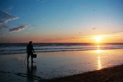 Canon Prima Super 135 BRAND NEW 35mm Film Camera Point and Shoot