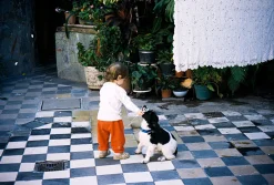 Canon Prima Zoom Mini Brand New 35mm Film Camera Point and Shoot