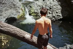 Canon Sure Prima Super 115 Black 35mm Film Camera Point and Shoot