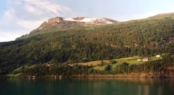 Canon Sure Shot AF-7s / Owl / BF Silver 35mm Film Camera Point and Shoot