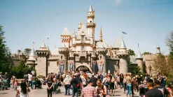 Canon Sure Shot TeleMax 35mm Film Camera Point and Shoot