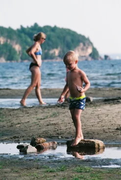 Canon T80 35mm SLR Film Camera with Prime Lens