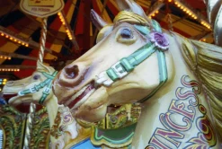 Cobra Auto 28mm f/2.8 Macro Camera Lens