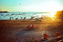 Contax T2 Champagne 35mm Film Camera Point & Shoot with 38mm f/2.8 Lens