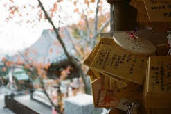 Contax T3 Titan Silver 35mm Film Camera Point & Shoot with 35mm f/2.8 Lens