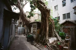 (Expired 2021) FujiFilm Superia X-Tra 400 36 Exposure 35mm Colour Film.