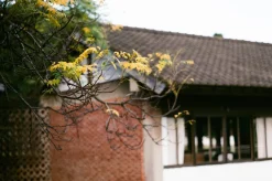 (Expired 2021) FujiFilm Superia X-Tra 400 36 Exposure 35mm Colour Film.