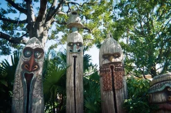 Expired Kodak Disposable 35mm Camera with Flash