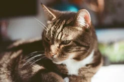 Expired Kodak Disposable 35mm Camera with Flash