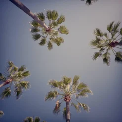 Expired Kodak Disposable 35mm Camera with Flash