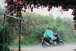 Flic Film Elektra 35mm Colour Film