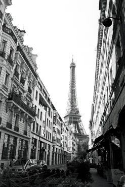 Fomapan 400 Action 36 EXP 135 35mm B&W Film