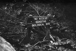 Fujica GW690 (Texas Leica) With 90mm F3.5 lens. 6X9 Medium Format Film Camera.