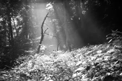 Fujica GW690 (Texas Leica) With 90mm F3.5 lens. 6X9 Medium Format Film Camera.