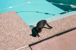 Fujica ST605 35mm SLR Film Camera w/ Prime Lens