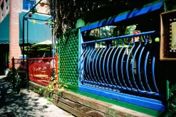 FujiChrome Professional Velvia 50 36 EXP 35mm Colour Film