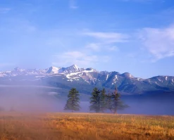 FujiChrome Professional Velvia 50 36 EXP 35mm Colour Film