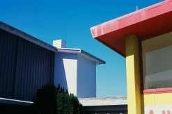 FujiChrome Professional Velvia 100 36 EXP 35mm Colour Film