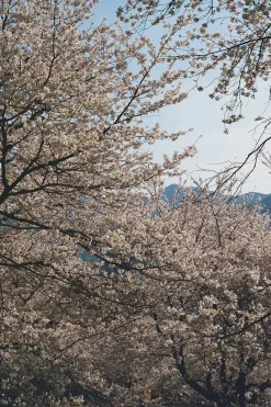 Fujifilm 400 35mm Colour Film - 36 Exposure