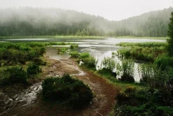 Halina 35-600 35mm Point n Shoot Film Camera