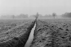 Konica MT-9 35mm Point n Shoot Film Camera