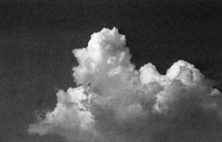 Konica MT-9 35mm Point n Shoot Film Camera