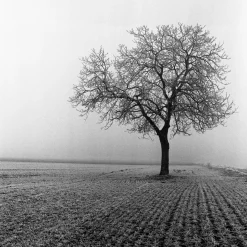 Lubitel 2 With 75mm F4.5 Lens. TLR 6X6 Medium Format Film Camera.