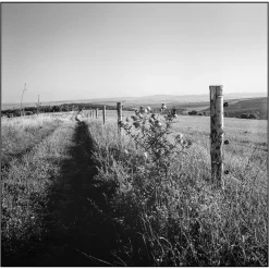 Lubitel 166B With 75mm F4.5 Lens. TLR 6X6 Medium Format Film Camera.