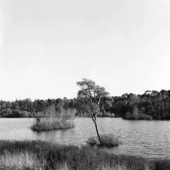 Lubitel 166B With 75mm F4.5 Lens. TLR 6X6 Medium Format Film Camera.