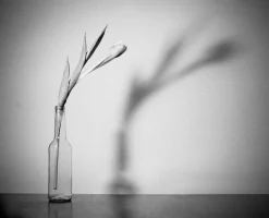 Mamiya 7 With 80mm F4 Lens. 6X7 Medium Format Film Camera