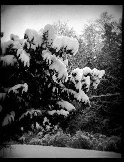 Mamiya M645J With 80mm F2.8 Lens. 6X4.5 Medium Format Film Camera.