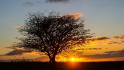 Minolta AF Zoom 35mm f/4 Camera Lens