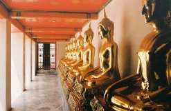 Minolta Dynax 5 Automatic 35mm SLR Film Camera w/ Auto Zoom Lens