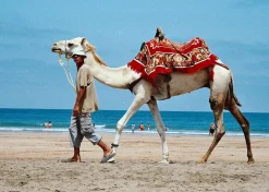 Minolta Maxxum 7000i Automatic SLR 35mm Film Camera with Minolta AF 35mm-105mm Zoom Lens