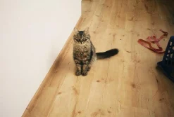 Minolta Riva AF35C 35mm Film Camera Point and Shoot