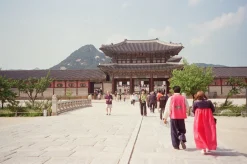 Minolta Riva Zoom 140 35mm Film Camera Point and Shoot