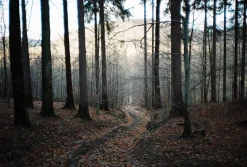 Minolta SR-7 SLR 35mm Film Camera with Minolta 135mm F3.5 Lens