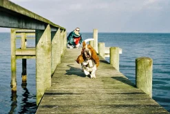 Nikomat EL Vintage 35mm SLR Film Camera w/ Nikkor-S f/2.8 35mm Lens