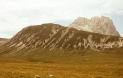 Nikon F55 35mm SLR Film Camera w/ 28-80mm lens