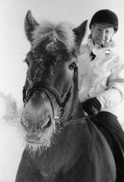 Nikon F90 35mm SLR Film Camera - Body Only