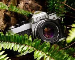 Nikon FE (Silver) 35mm SLR Film Camera With Nikkor 50mm F1.8 Lens