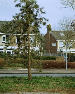 Nikon FG-20 35mm SLR Film Camera With Nikon E-Series 50mm F1.8